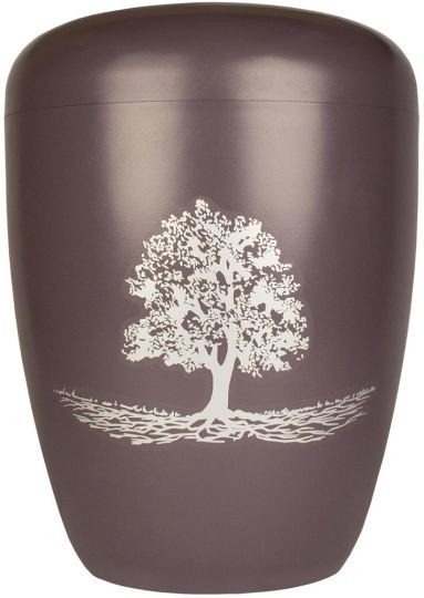 Arbor Vitae