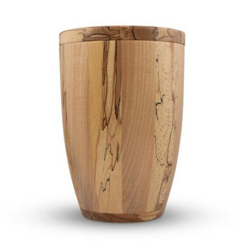 Beechwood Elegance