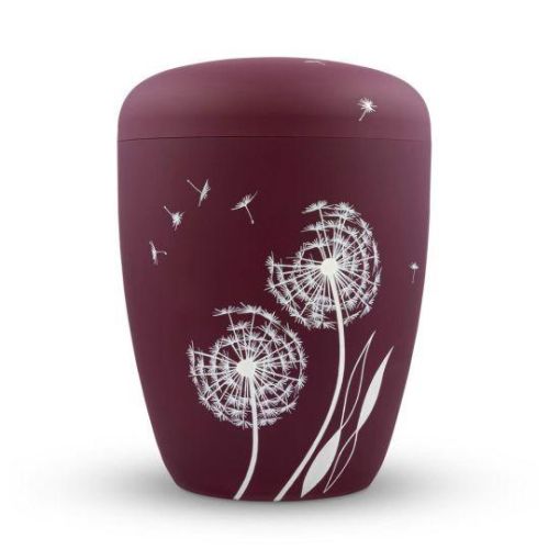 Berry Dandelion