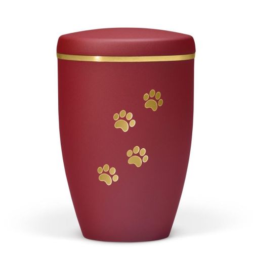 Bordeaux Gold Paw