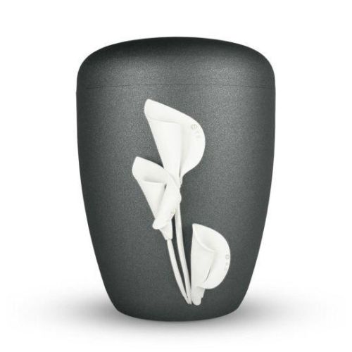 Calla Eterna
