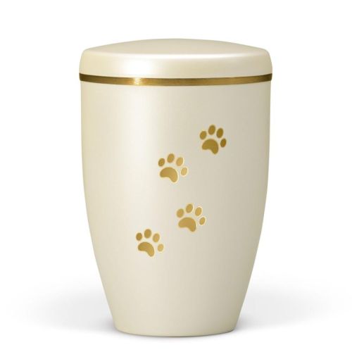 Champagne Paw