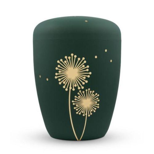 Evergreen Dandelion