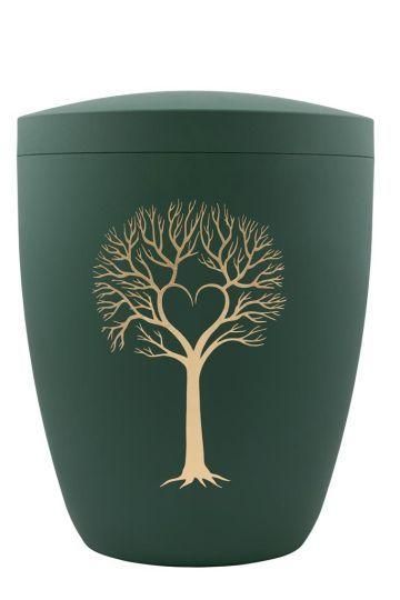 Evergreen Hearttree