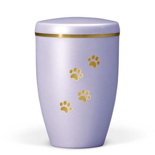 Fig Violet Paw