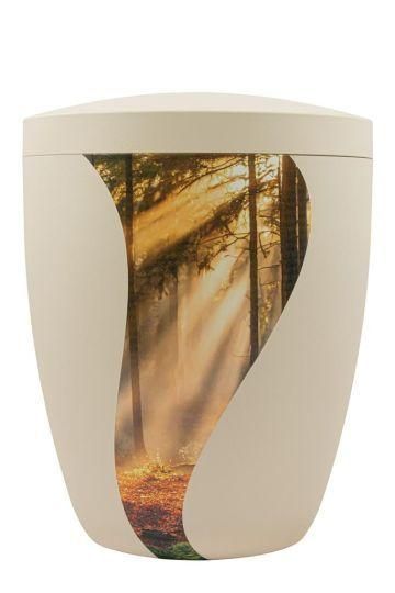 Forest Light