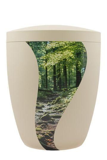 Forest Path