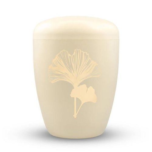 Ginkgo Pearl