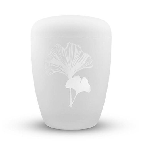 Ginkgo Pure