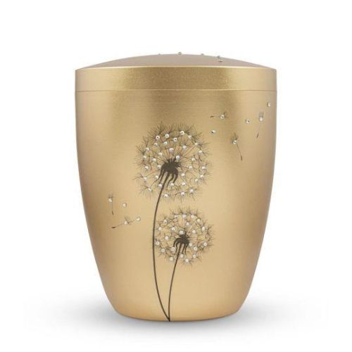 Golden Dandelion