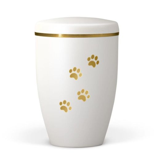 Ivory Paw