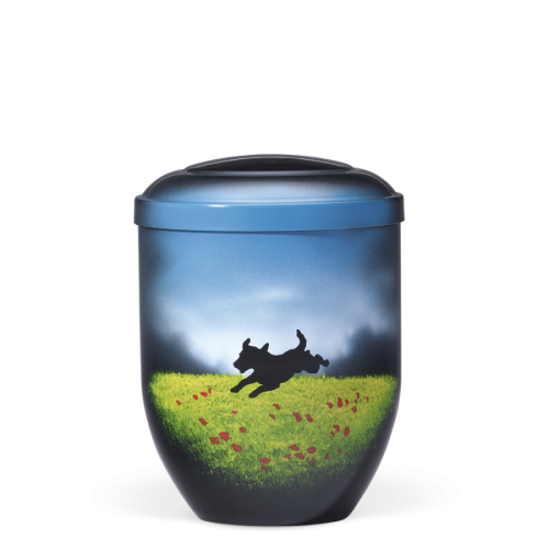 Meadow Companion