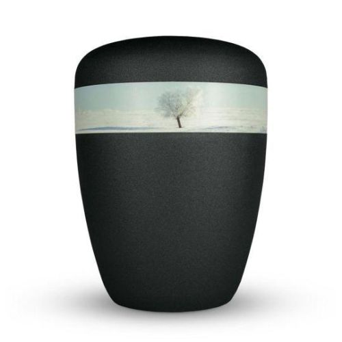 Obsidian Wintertree