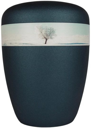 Oceanis Wintertree