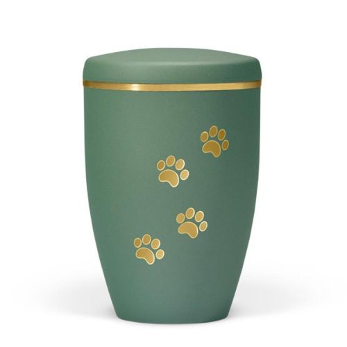 Oliva Gold Paw