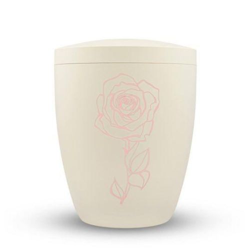Pearl Rose