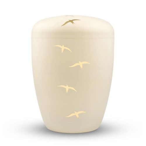 Pearl Swallow
