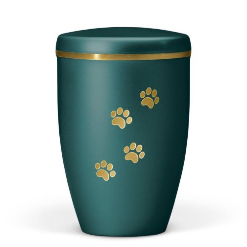 Petrol Gold Paw