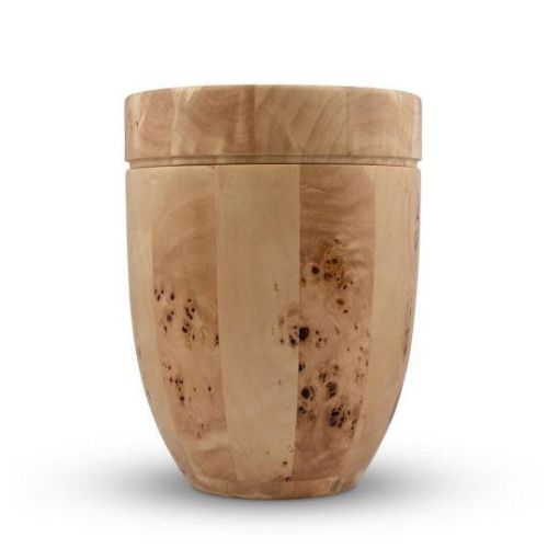 Poplar Burl Elegance