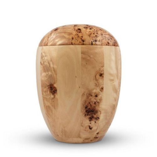 Poplar Burl Harmony