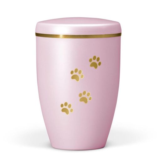Rose Gold Paw