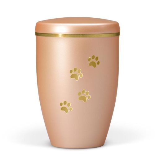 Salmon Gold Paw