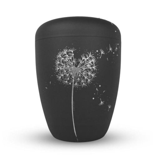 Silver Dandelion