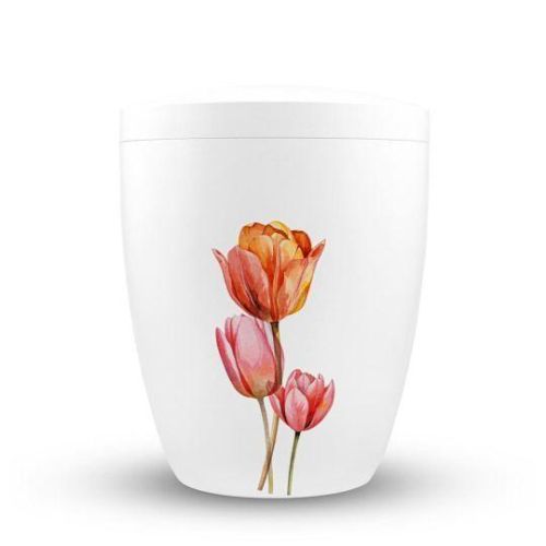 Tulip Grace